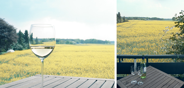 grillen sie auf dem balkon in der sonne oder ihr fleisch auf dem grill bei bier, wein und toller aussicht